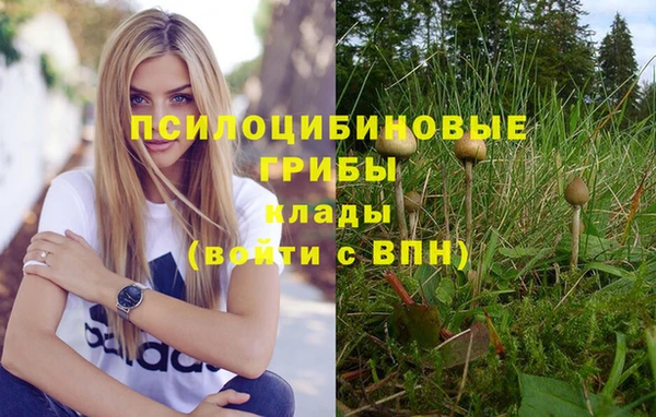 дурь Балабаново