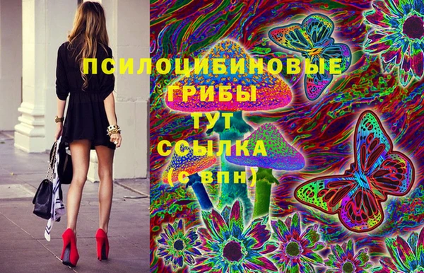 эйфоретик Сафоново